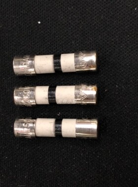 进口陶瓷保险丝管5*20 T10AH250VP 0215010.MXP慢熔
