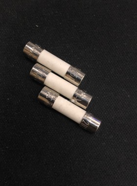 WICKMANN 19512000001 2A 250V 5X20MM 无脚玻璃保险丝