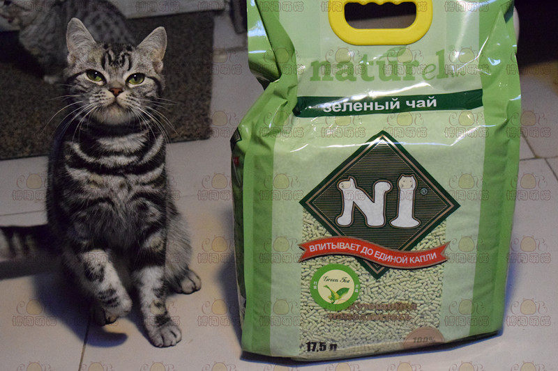*博闯萌喵*澳大利亚N1天然绿茶猫砂植物豆腐猫沙17.5升