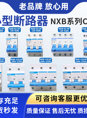 正泰昆仑NXB-63-40 1P 2P 3P4PC型NXB-125小型断路器DZ47家用开关