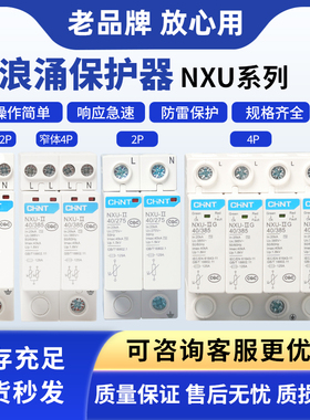 正泰电源防雷器浪涌保护器NXU-Ⅱ G2P3P4P40KA100KA窄体Ⅰ+Ⅱ12.5