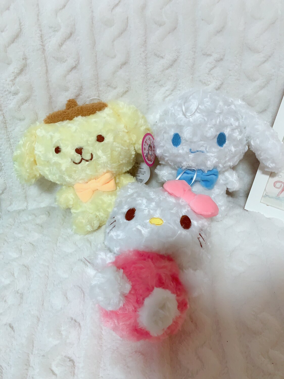 Kitty猫大耳狗玉桂狗布丁狗毛绒/玩偶/公仔/布