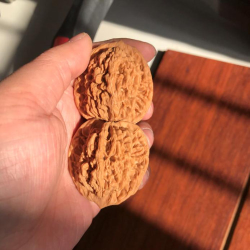 自然桩45mm麦穗虎头麻核桃文玩把件精选老树压手狮虎兽老树健身送