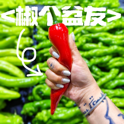 赏味期限蔬菜系列辣椒解压玩具