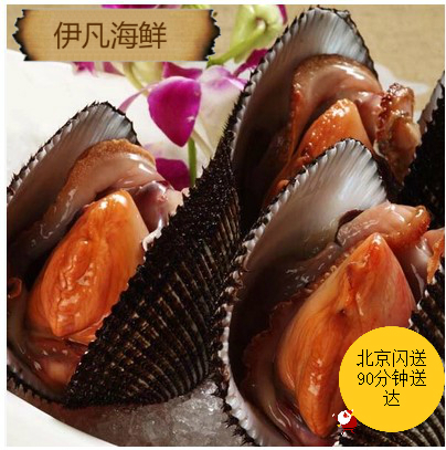 北京闪送鲜活赤贝特大的赤贝鲜活水产品肉鲜肥美贝类海鲜1斤2-3个