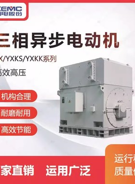 湖南湘潭高压电机YX/YXKS/YXKK系列2.2kw高效高压三相异步电动机
