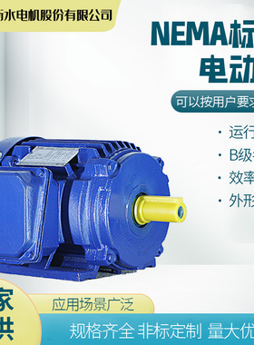 衡水猛牛电机NEMA标准的全封闭自扇冷却电动机B/D设计 CID2防爆