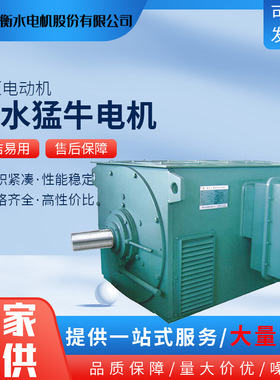 衡水猛牛电机马达YKK/YXKK/YKS/YR/YRKK/YRKS高压电动机三相异步