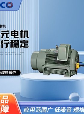 东元电机全密型-TEFC低压大功率异步电动机鼠笼式卧式185kW200kw
