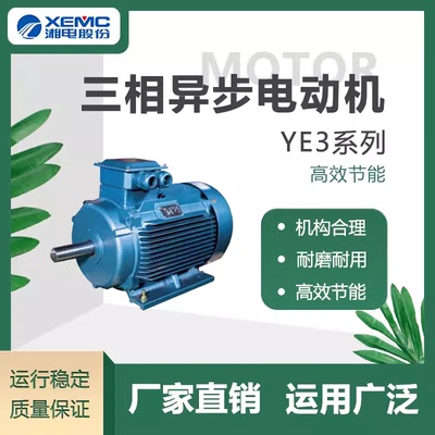 湖南湘潭电机股份YE3系列三级能效三相异步电机100L-2-3kw 30kw