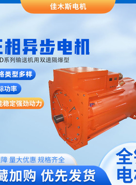 佳木斯电机YBSD系列输送机用双速隔爆型三相异步电动机110KW