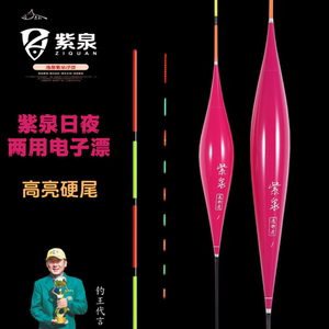 紫泉紫红色日夜两用电子浮漂