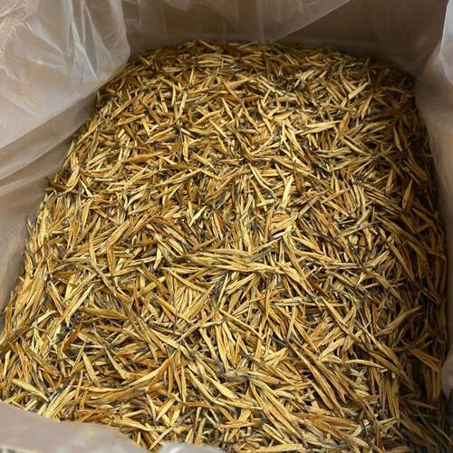 滇红大金针正宗云南凤庆全芽红茶浓香滇红茶大金针大金芽全芽红茶