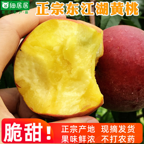 东江湖黄桃5斤10斤产地直发