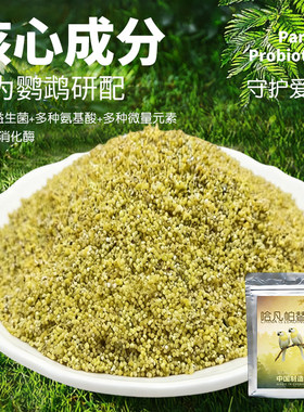 鹦鹉鹦鹉哈凡帕替高端