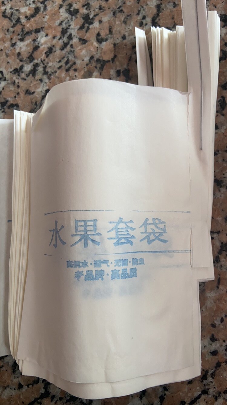 红美人套袋柑橘防晒防水防虫纸袋沃柑橘子防虫套袋