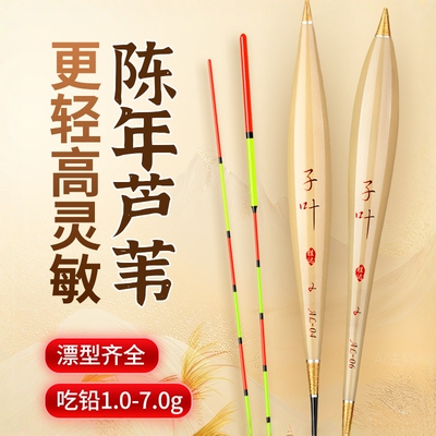 带壳芦苇浮漂行程鲫鲤大物野钓综合鱼漂黑坑竞技芦苇浮漂抗走水漂