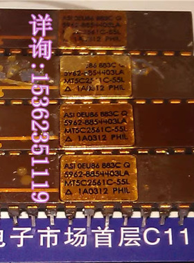 MT5C2561C-55L 5962-8854403LA SRAM 进口24直插脚DIP陶瓷镀金封
