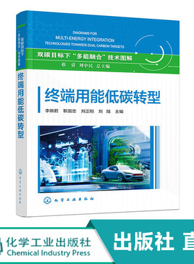 终端用能低碳转型 双碳目标下多能融合技术图解 钢铁及水泥工业低碳 零碳流程再造 交通与绿色可再生能源融合发展技术路线参考书