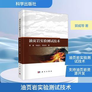朱超凡 天然气工业 油页岩实验测试技术 石油 著 邓孙华 郭威 社 科学出版 现货 正版