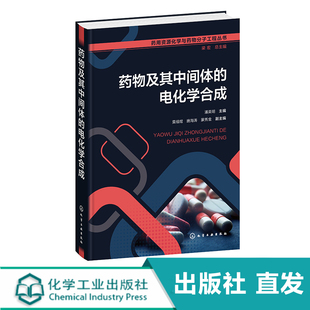 药物中间体 药物及其中间体 药用资源化学与药物分子工程丛书 电化学合成 电化学电催化有机合成等领域研究生应用教材