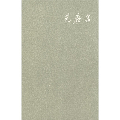 陈丹青荒废集文学与艺术随笔集回顾七十年代的长篇随笔广西师范大学出版社文学图书正版现货书籍