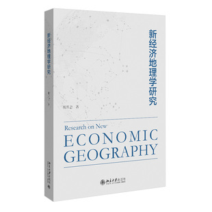 现货正版 新经济地理学研究 杨开忠 北京大学出版社
