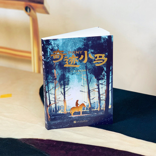 奇迹小马《奇迹男孩》作者力作,励志成长故事,十二岁少年在奇迹小马的带领下启程营救父亲