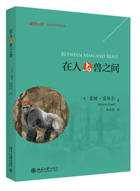 现货正版 特殊儿童的美术治疗 孙霞 21世纪特殊教育创新教材·康复与训练系列 北京大学出版社 9787301188965