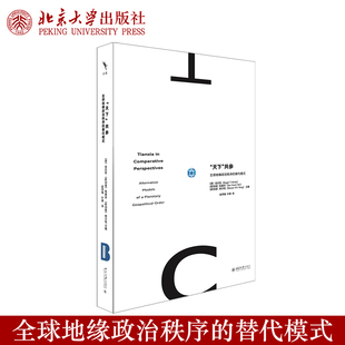 现货正版 天下共参：全球地缘政治秩序的替代模式 安乐哲陈素芬杨月恒主编 地缘政治学研究 北京大学出版社9787301368862