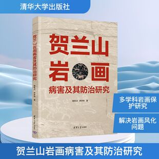 正版现货 贺兰山岩画病害及其防治研究 清华大学出版社 杨有贞,李学军 著 著 各部门经济