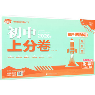 正版现货 初中上分卷 化学 九年级 下册 首都师范大学出版社 杨文彬 主编 编 中学教辅