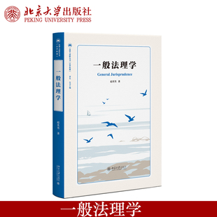现货正版 一般法理学 赵英男著 赵英男 著 中文法理学著述 法学教科书 北京大学出版社9787301369968