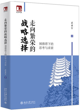 现货正版 走向繁荣的战略选择 博雅塔下的思考与求索 武亚军 著 光华思想力书系 北京大学出版社