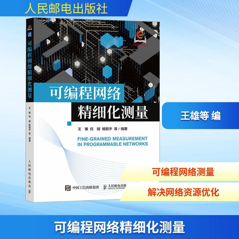 正版现货 可编程网络精细化测量 人民邮电出版社 王雄 等 编著 编 程序设计（新）