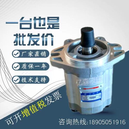 四川长江齿轮泵CBK1016-B1/B2/B3/B4/A1/A2A3/A15FR/FL规格齐全