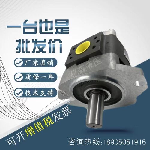 福伊特VOITH齿轮泵IPVP5-32/40/50/64 IPV6-80-101 100 IPV7-125