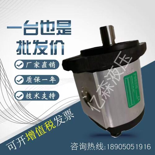 罗茨RONZIO齿轮油泵02ZMAG04/06/08/11/14/17/20/25/31E034S-0BVR