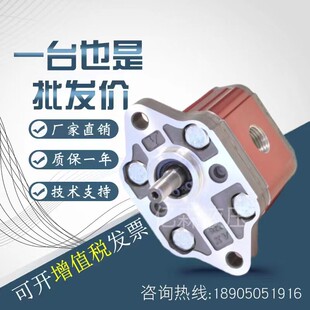 意大利VIVOLO维沃高压齿轮泵X0P0202ABBA X0P1302ABBA小排量齿轮