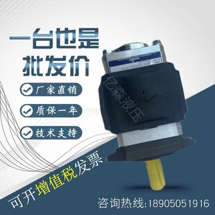 贺尔碧格HOERBIGER内啮合齿轮泵HQI2/HQI3/HQ12/HQ13液压油泵