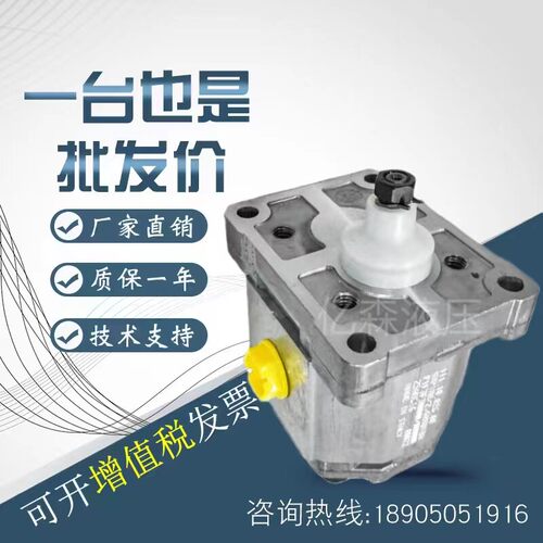 丹佛斯sauer danfoss液压泵SNP1NN/SNP2NN/SNP3NN/丹佛斯齿轮泵
