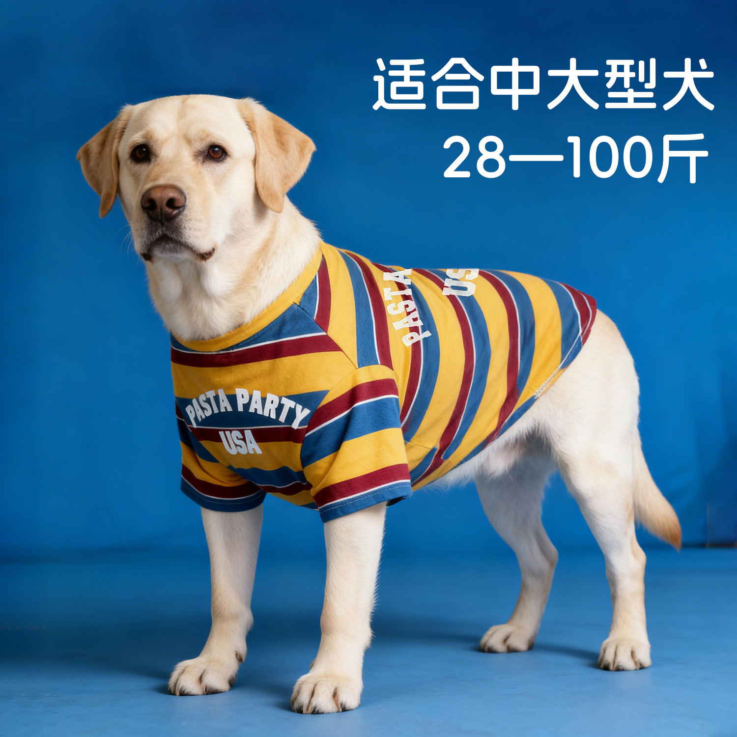 宠物狗衣服夏透气防掉毛中大型犬帅气两脚衣拉布拉多金毛边牧背心