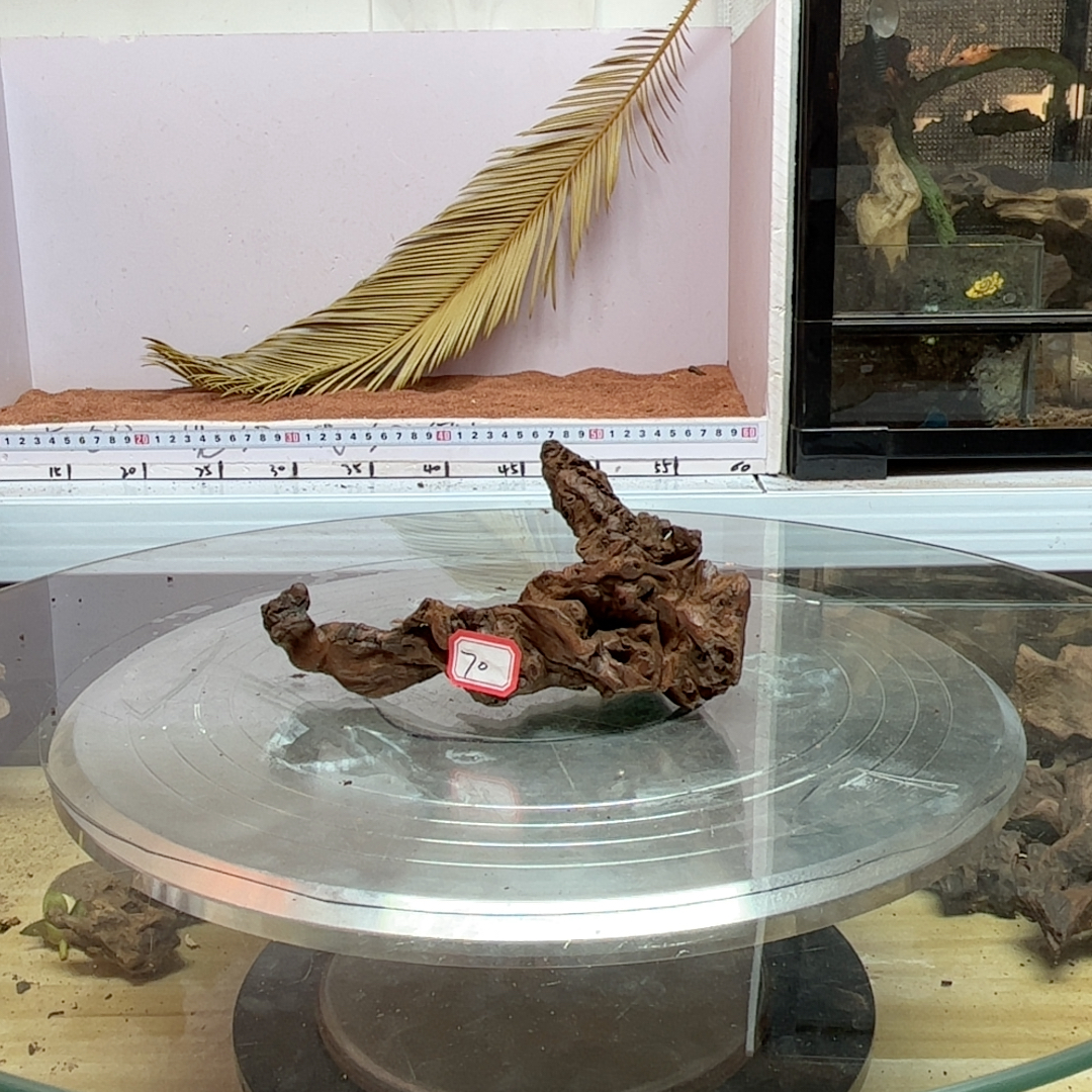 紫柚木70号长18宽9高9