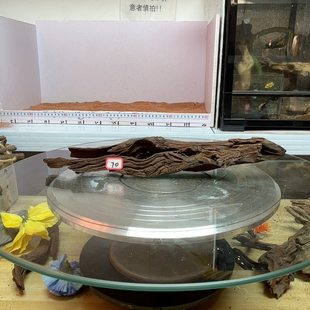 紫柚木70号长40宽9高7