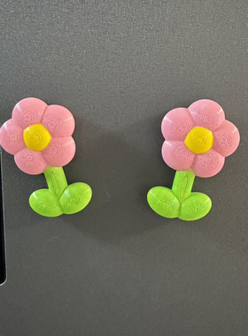 二花的花 手工上色DIY创意冰箱贴 花朵两朵花