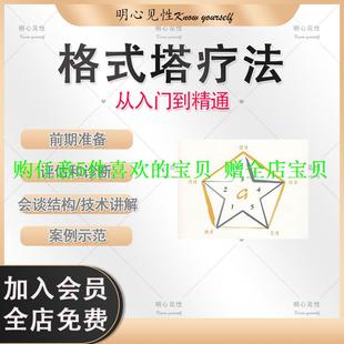 案例视频完形疗法心理学疗法讲解课诊断塔技术格式分析和评估心理