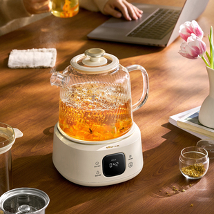 小熊YSH-E12S2全玻璃养生壶炖煮一体养生烧水壶纯玻璃2025新款