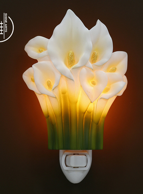向雅艺品海芋花小夜灯插电led节能床头护眼卧室睡眠插座灯创意夏