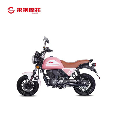 银钢摩托迷你车150迷你Supermini