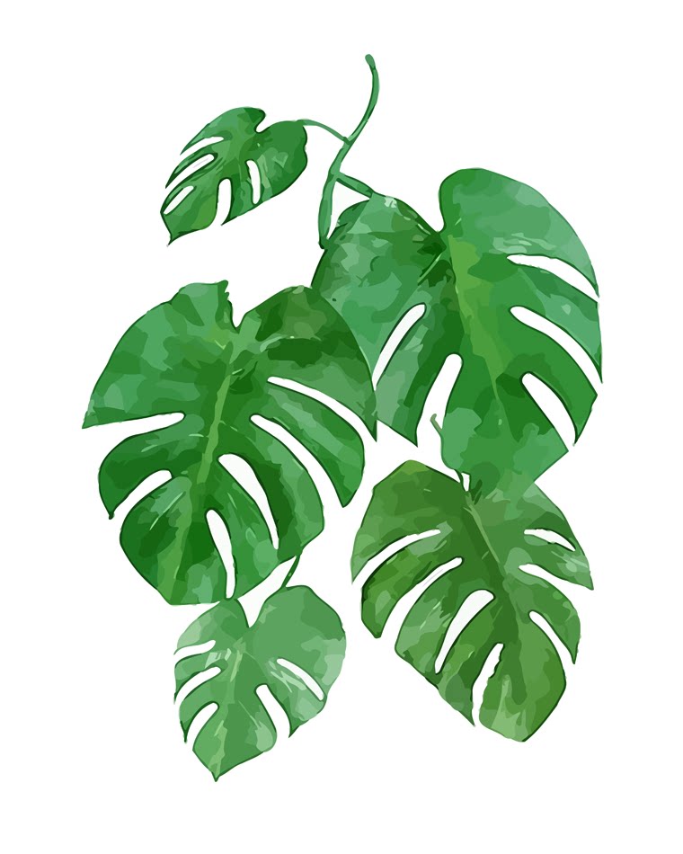 diy数字油画 绿色植物叶子北欧风淡彩休闲减压丙烯填色手绘装饰画